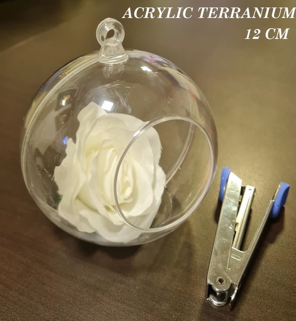 PVC Hanging Terranium – 12 cm