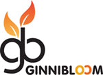 Ginni Bloom