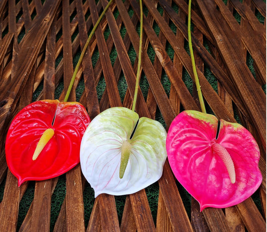 Artificial Natural Touch Anthurium (Realistic Looking)