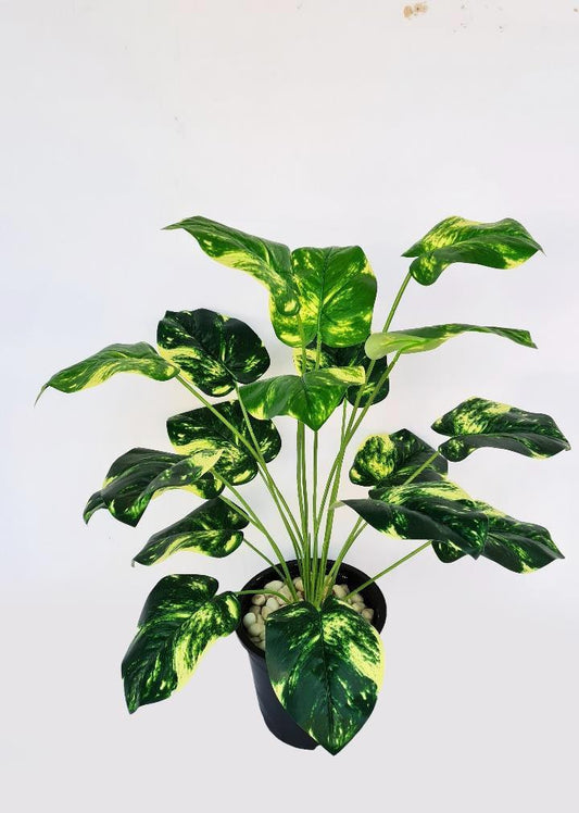Artificial Money Plant 18 Leaf